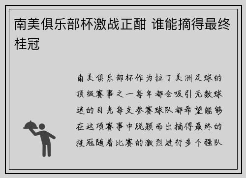 南美俱乐部杯激战正酣 谁能摘得最终桂冠